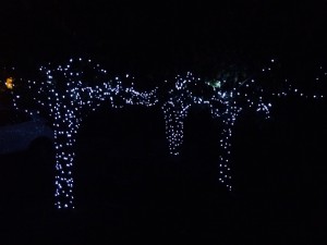 solar fairy lights at night